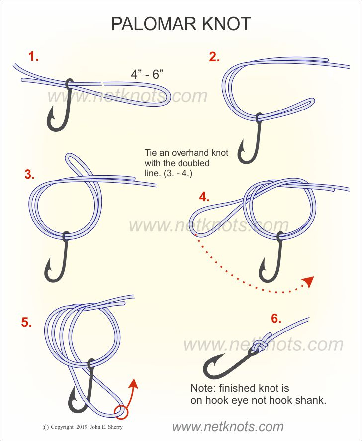 Palomar Knot